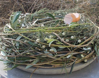 Willow wreath door wreath made of twigs willow catkins 35 40 45 50 55 and 60 cm vessel filling nest natural wreath Easter decoration