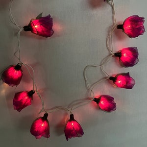 Strong floral light chain rose 20 flowers handmade purple 20 lights 3 m long skeleton leaves rubber tree for indoor