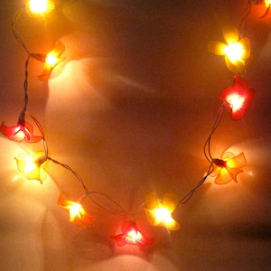 Peut inclure: Guirlande lumineuse avec des ampoules en forme de fleur dans des tons de jaune, orange et rouge. Les lumières sont enfilées en cercle.