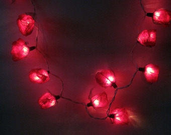 Unusual fairy lights rose 20 flowers red 20 lights 3 m long skeleton leaves rubber tree handmade for indoor use