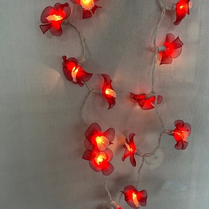 Könnte beinhalten: Lichterkette mit roten, blumenförmigen Lichtern mit weißen Zentren. Die Lichter sind an einem weißen Kabel befestigt.