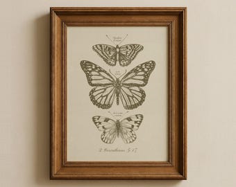 Vintage Butterfly Print | Vintage Christian Wall Art | Printable Scripture Poster | Cottagecore Home Decor | Antique Biblical Artwork
