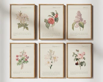 Christian Wall Art Bundle, Bible Verse Wall Art Set of 6, Christian Gallery Wall Set, Printable, Vintage Botanical Print, French Country Art