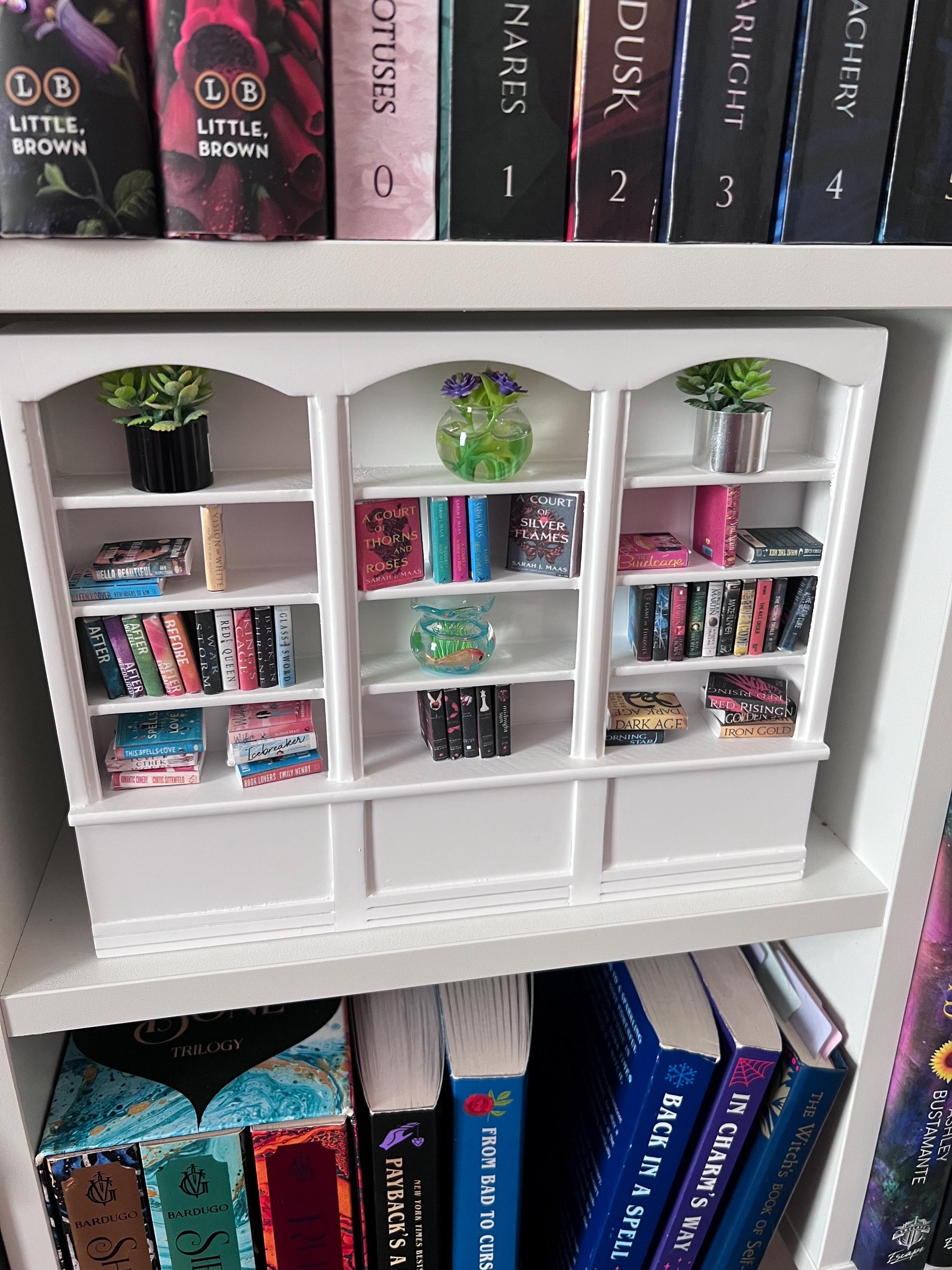 Beautiful mini bookshelf (choose your books)