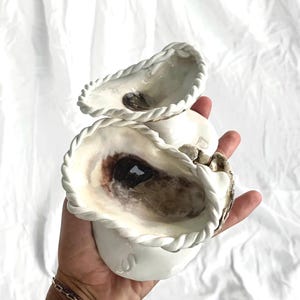 May include: Two white ceramic oyster shells with a rope-like design around the edges. The shells are stacked on top of each other and have a brown interior.