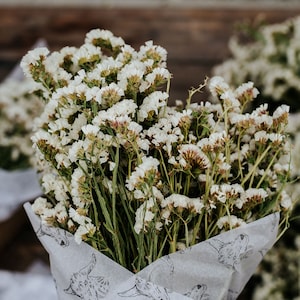 Large White Dried Statice Floral Bundle