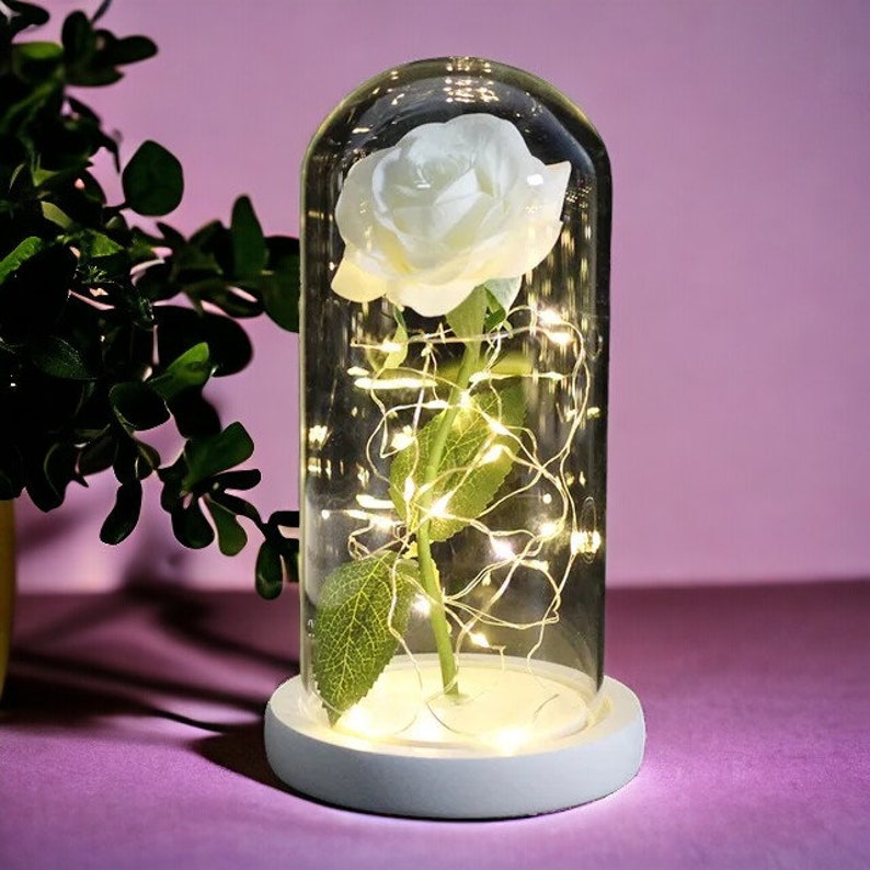 Timeless Love: Elegant Eternal Rose under Glass Dome Perfect Valentine's, Anniversary, Wedding Gift Blanc 2