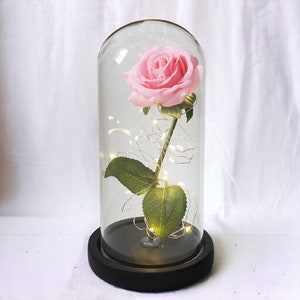 Composition florale enchantée, rose de la Belle et la Bête Symbole de l'amour pour toujours Rose artisanale de luxe Fleur éternelle unique, décoration en dôme de verre Rose