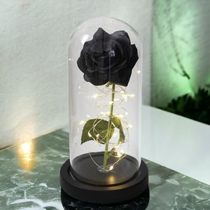 Composition florale enchantée, rose de la Belle et la Bête Symbole de l'amour pour toujours Rose artisanale de luxe Fleur éternelle unique, décoration en dôme de verre Noir