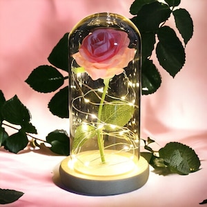 Composition florale enchantée, rose de la Belle et la Bête Symbole de l'amour pour toujours Rose artisanale de luxe Fleur éternelle unique, décoration en dôme de verre Rose 2