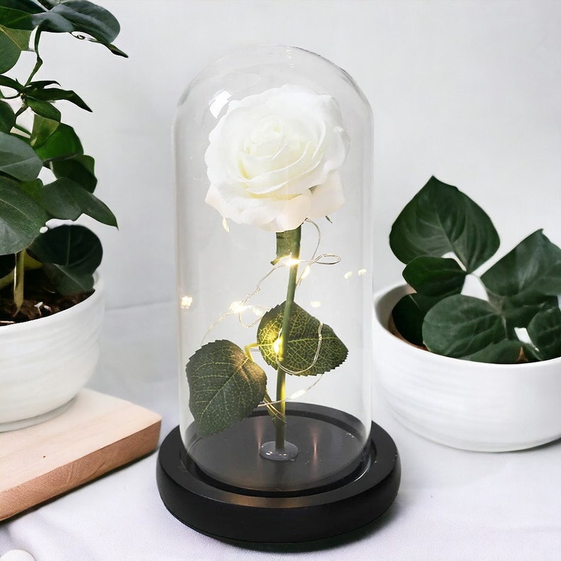 Beauty and the Beast rose Enchanted floral arrangement-Forever love symbol Luxury handcrafted rose-Unique everlasting bloom Glass dome decor White