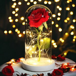 Beauty and the Beast rose Enchanted floral arrangement-Forever love symbol Luxury handcrafted rose-Unique everlasting bloom Glass dome decor Rouge 2