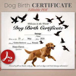 Geburtsurkunde für Mädchen oder Jungen, Welpen, personalisierbares Geschenk für die Jagd auf Golden Retriever
