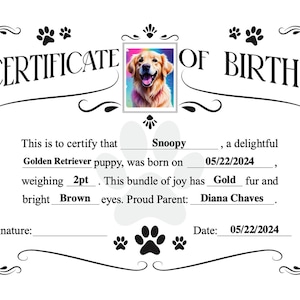 Certificado de nacimiento de perro de uso imprimible y digital editable para niña o niño cachorro género plantilla personalizada criador Descarga instantánea