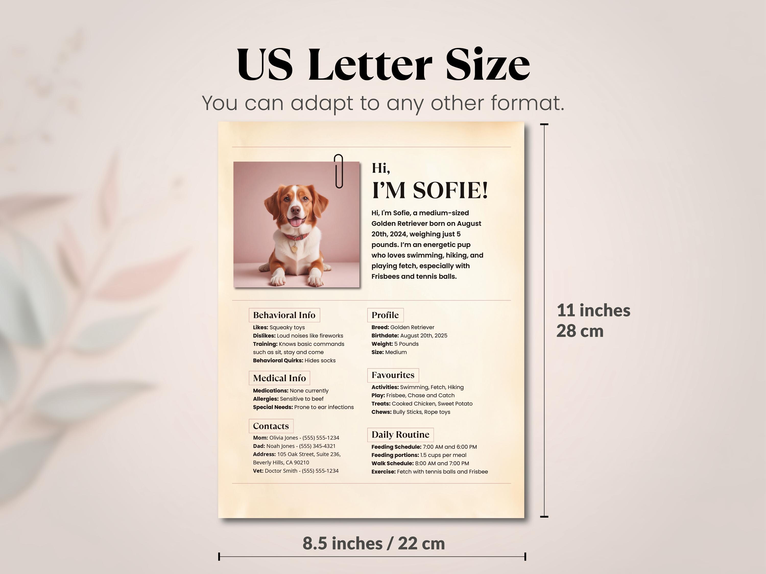 Pets Design Note Pet Profile CANVA Template: Dog Sitter Notes (digital Download) - Etsy
