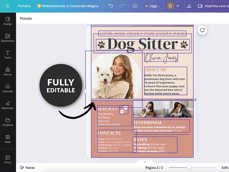Fully editable Canva Templates. Dog Sitter Resume flyer CANVA Template editable Professional Pet Care Services Brochure Profile custom Social Media Kit digital dog sitting