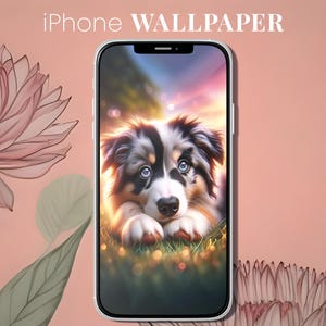 May include: A cute blue-eyed puppy with black and white fur is lying on the grass. The puppy is looking at the camera. The background is a blurry sunset.
