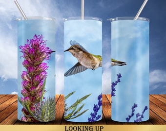 Hummingbird 20 oz Tumbler Wrap Sublimation Designs, Straight & Tapered, Instant Download PNG, 30 oz Design Also Included