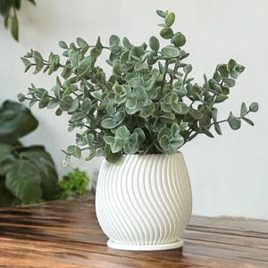 May include: A white ceramic planter with a wavy design, featuring a green leafy plant. The planter has a matching saucer.