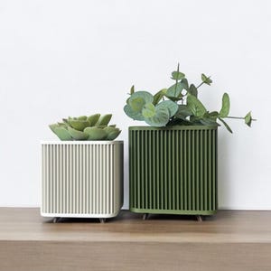 May include: Two square plant pots with vertical lines. The pot on the left is white and holds a succulent. The pot on the right is green and holds a leafy plant.