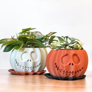 May include: Two Halloween-themed pumpkin planters, one white and one orange, with a Jack Skellington-inspired face design. Both planters are filled with green leafy plants.