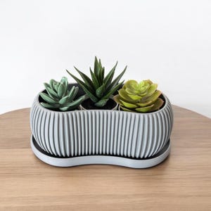 May include: A gray ceramic planter with three small succulents. The planter has a wavy, ribbed design and a matching saucer.
