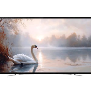 Swan Lake Digital Download, Frame TV Art, Smart TV Art, Samsung TV Art, Digital Download, Swan Art, Swan Digital, Swan Digital Art