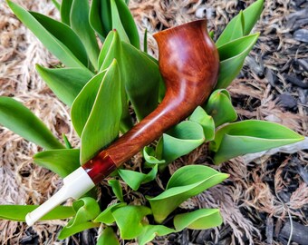 Op de afbeelding: Een houten rookpijp met een wit mondstuk en een rode accent. De pijp rust op een bed van groene bladeren.