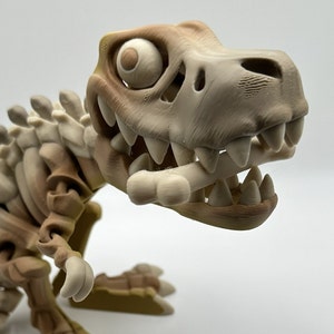 T-Rex Skeleton, 3D Printed, Articulated Flexi