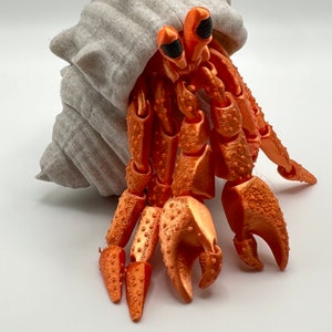 Hermit Crab and Shell, 3D Printed