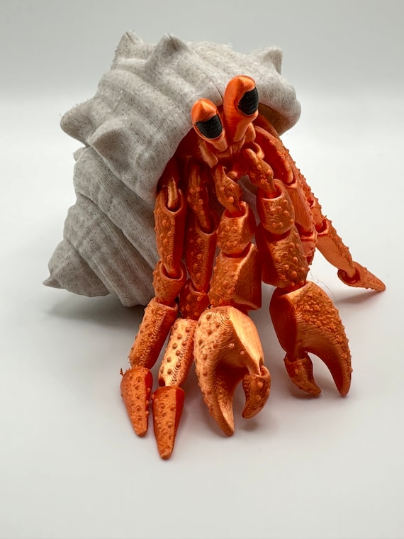 Hermit Crab and Shell, 3D Printed - Etsy