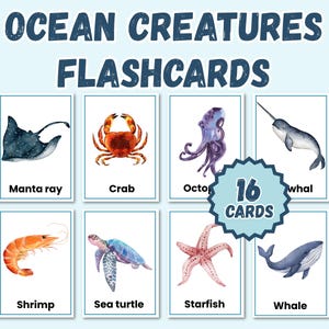 Ocean Animal Flashcards: Preschool Sea Creatures Printable (PDF Download