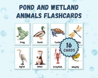 Pond & Wetland Animal Flashcards: Montessori Nature Learning (PDF Download