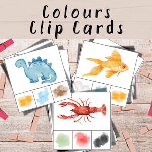 May include: Educational color clip cards featuring watercolor illustrations of a dinosaur, goldfish, and lobster. Each card has color swatches for matching. The text "Colours Clip Cards" is at the top. Pink and tan clothespins are scattered around.