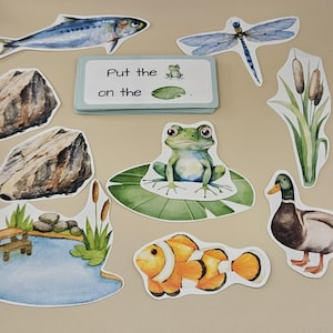 May include: A selection of watercolour-style cutouts depicting pond life. Includes a fish, dragonfly, frog on a lily pad, duck, clownfish, rocks, reeds, and a pond scene. A card reads "Put the on the ."