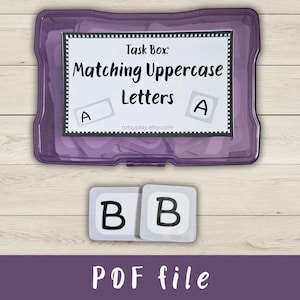 May include: A purple task box labeled "Matching Uppercase Letters" with the letter "A" displayed. Two tiles with the letter "B" are in front of the box. The text "PDF file" is at the bottom.
