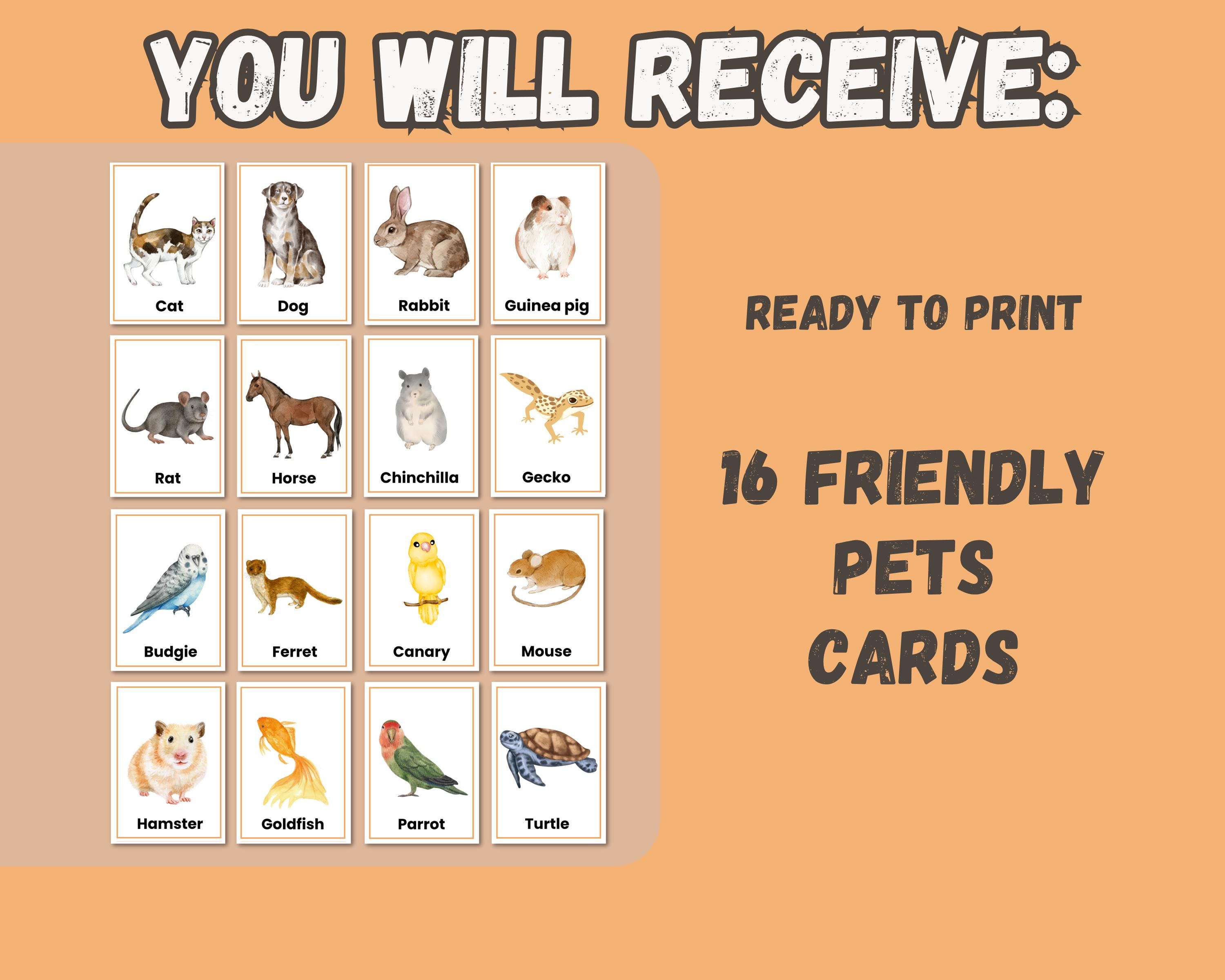 Friendly Pets Flashcards for Kids | Printable Realistic Pet Cards ...
