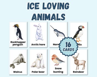 Printable Arctic and Antarctic Animal Flashcards | Montessori Preschool Nature Cards