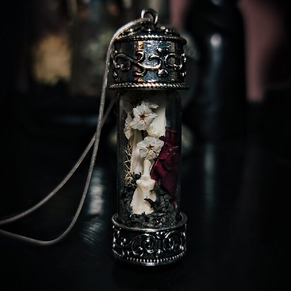 Taxidermy Rabbit Bone Curio Terrarium Vial Necklace