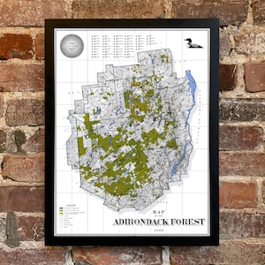 Adirondack Park 46 Peaks Karte Poster 1909