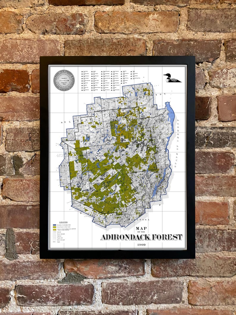 Adirondack Park 46 Peaks Map Poster 1909 - Etsy