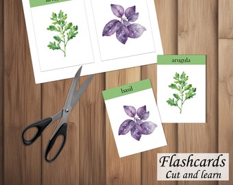 HERBS and PLANTS flashcards, 18 learning flashcards, digital flashcards