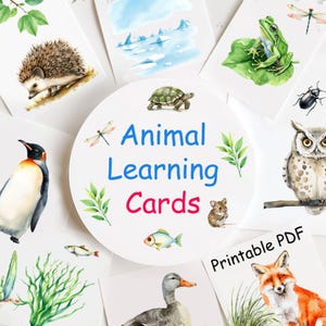 Watercolor Animal Learning Cards | Flashcards + Food + Habitat | Educational Printable for Kids, Toddlers & Preschool
