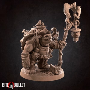 Tortle Druid from Bite the Bullet&#39;s Tortle set. Total height apx. 66mm