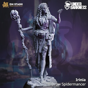 May include: A gray 3D printed miniature of a Drow Spidermancer named Irinia. She is wearing a long, flowing robe with intricate spiderweb designs and holding a staff with a spider at the top. The miniature is set on a base with spiderwebs and a spider.