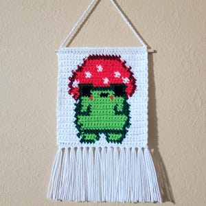 Crochet Wall Hanging, Mushroom Frog Tapestry, Handmade Wall Art, Cottage Core Decor, Cute Art, Mushroom Wall Hanging, Crochet Room Decor