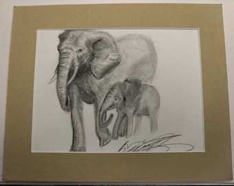 Momma and Baby Elephants: super cute pencil drawing by Margit Jean Hammer