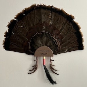 May include: A brown and black turkey tail fan mounted on a wooden plaque with the text "Eastern Wild Turkey", "John H. Doe", and "02.13.2024".