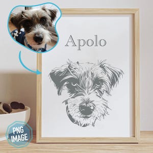 Puede incluir: Un marco con una ilustración en escala de grises de la cara de un perro, con el nombre "Apolo" encima. La imagen incluye una fotografía del perro en la esquina superior izquierda. El marco es de madera clara.