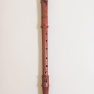 May include: A brown wooden recorder musical instrument featuring a smooth, polished finish, a mouthpiece at the top, a series of circular finger holes along the central body, and a flared bell at the bottom end, presented in a vertical orientation.